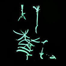 Load image into Gallery viewer, Guardian Bond Male Series #4